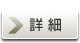 �ڍ�